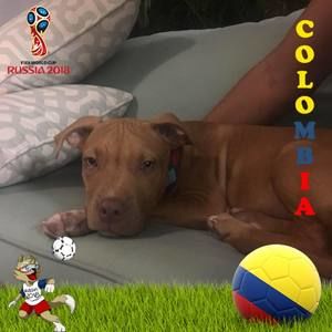 Meet your Posher, Diego